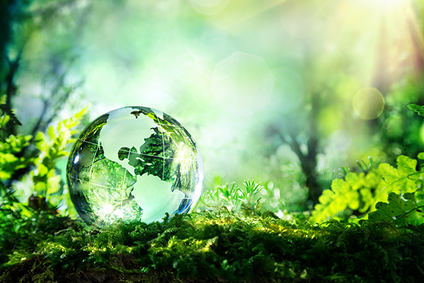 Pilier environnemental