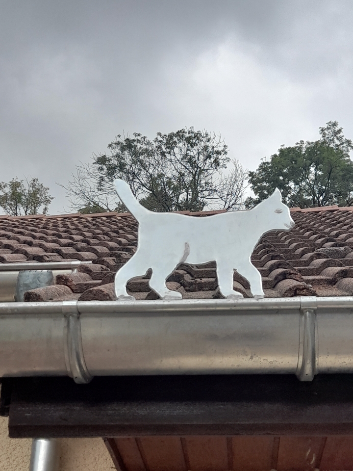 pose de goutière avec tout type d'ornement 2